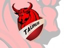 Taurus - Professional Clanlogo